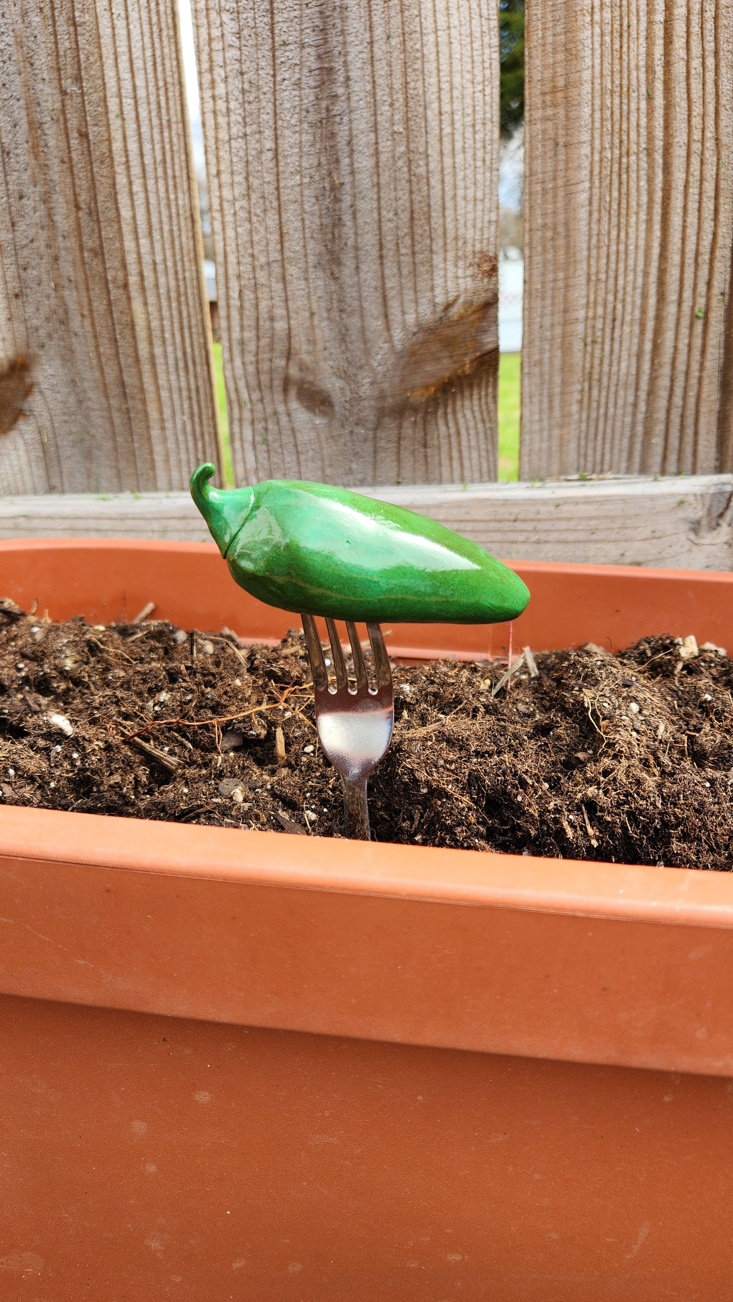 Set of 3 Garden Markers *Pepper Collection*- Hand-sculpted Food Sculpture